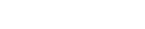 Adaton Consulting Web Design Services